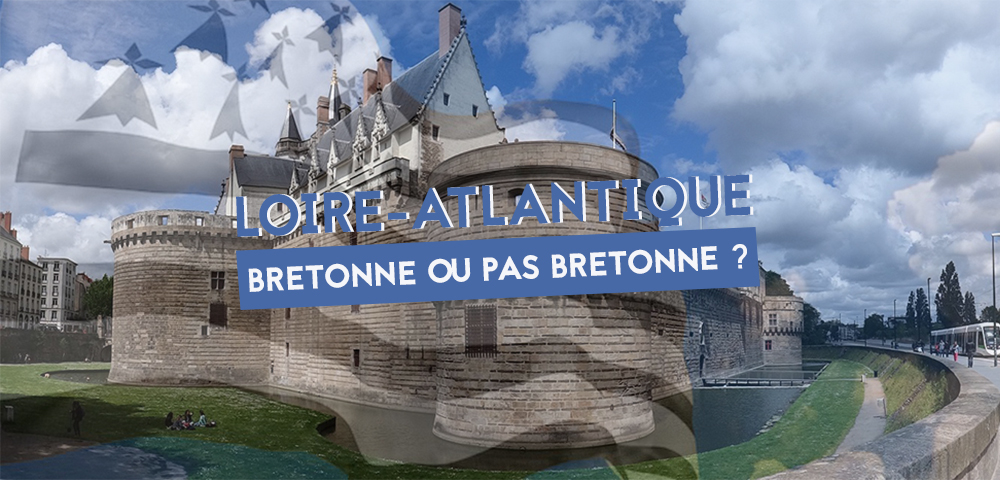 https://www.alainavello.fr/wp-content/uploads/2019/02/la-loire-atlantique-a-la-bretagne-referendum.jpg